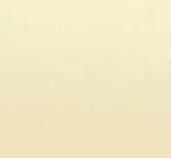 Overige Merken Plakfolie Creme Mat RAL 1015 (45cm)