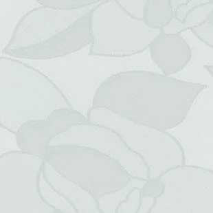 Overige Merken Raamfolie Rozen Transparant (45cm)